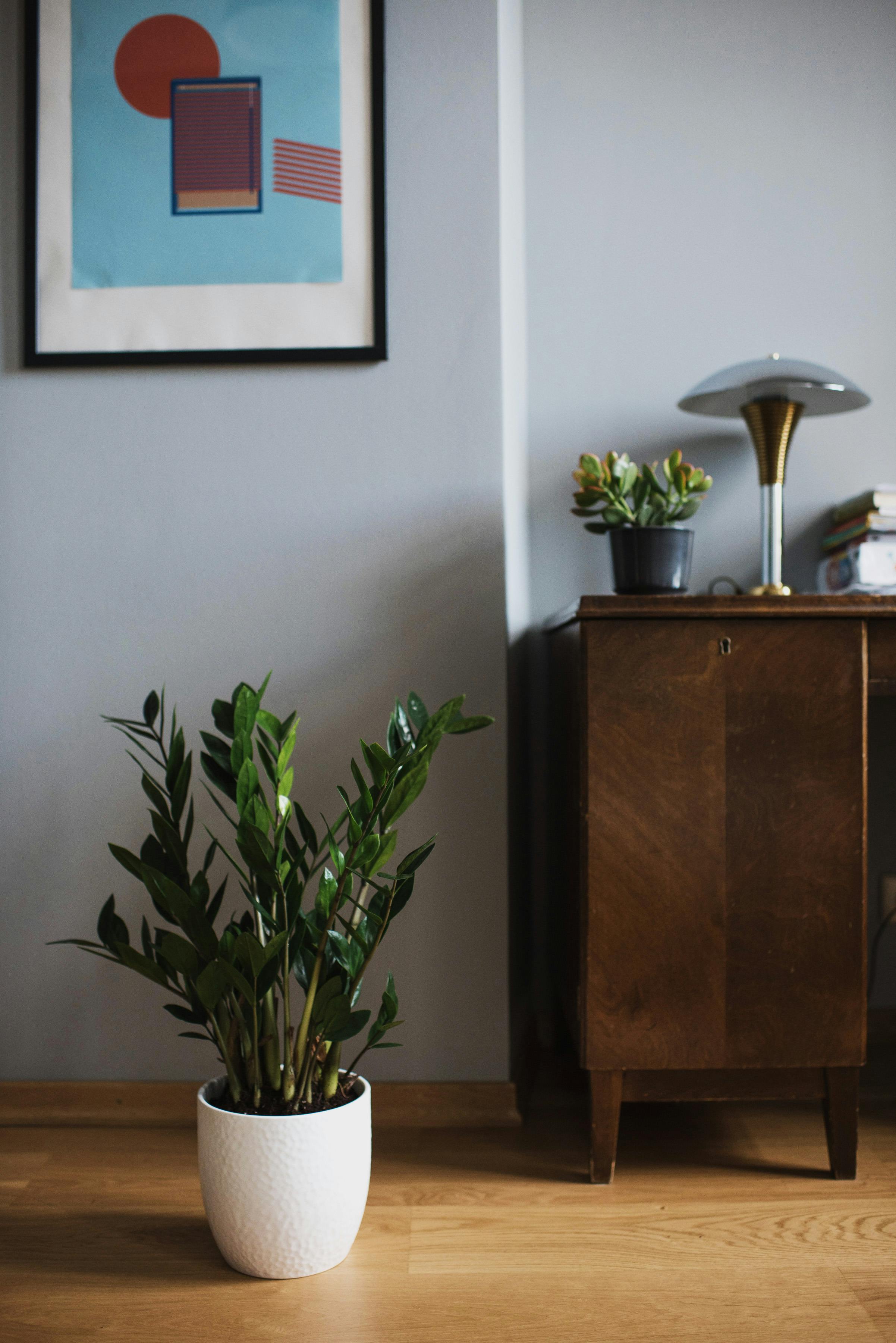 Plant N Craft